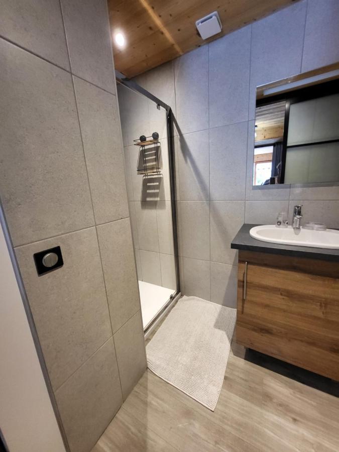 Appartement Cosy Face Aux Aravis Льо Гран-Борнан Екстериор снимка