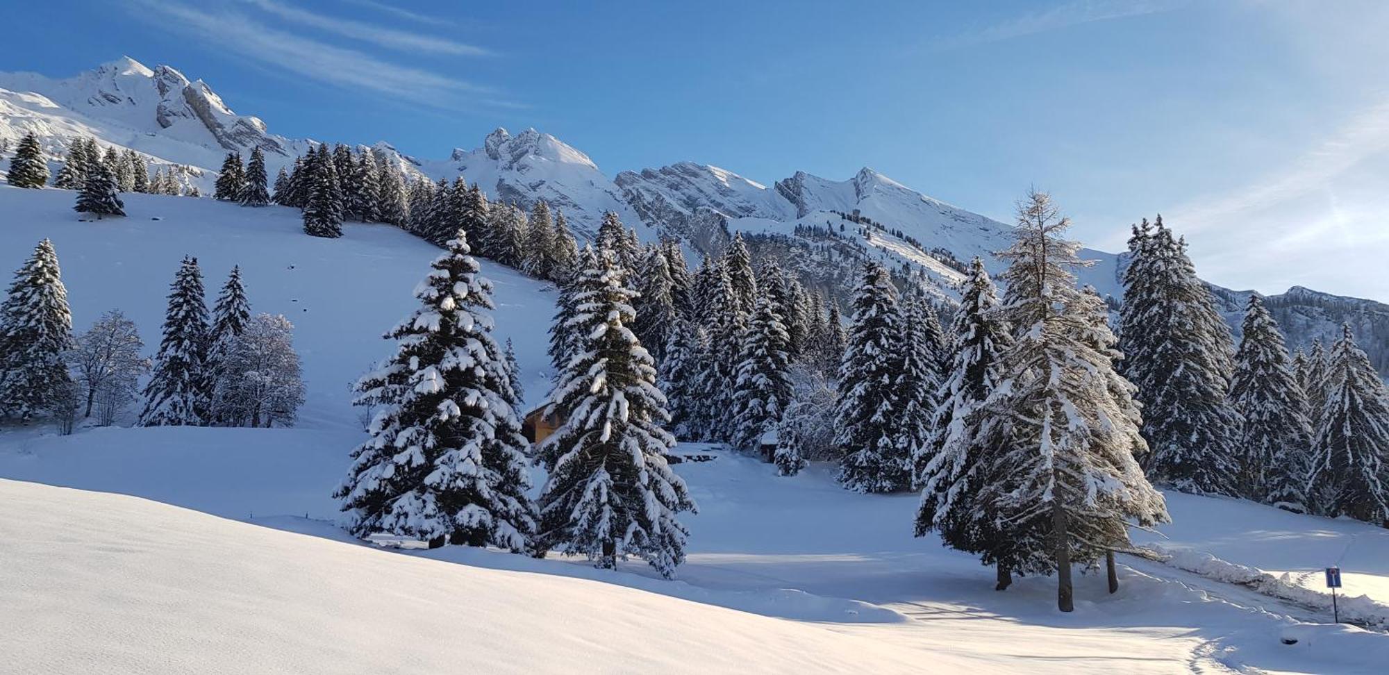 Appartement Cosy Face Aux Aravis Льо Гран-Борнан Екстериор снимка